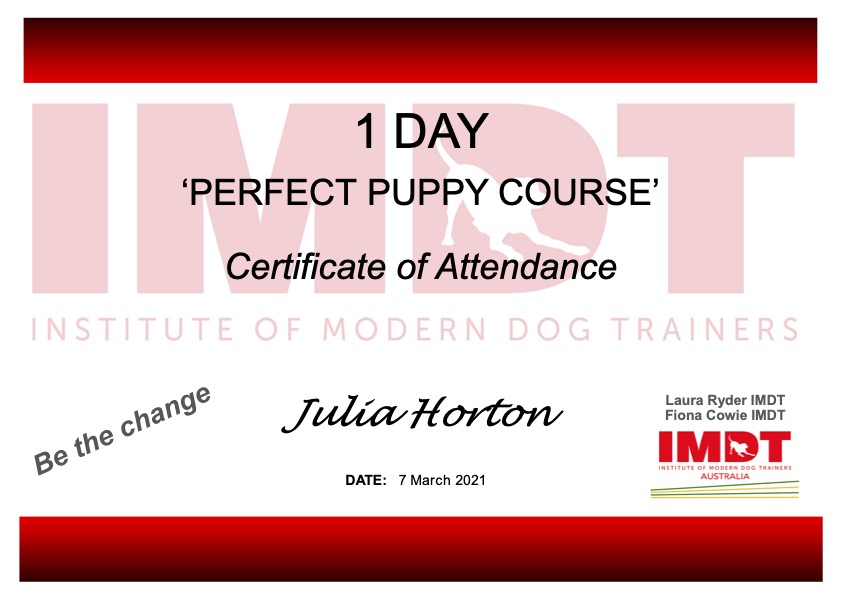 IMDT Perfect Puppy Cert